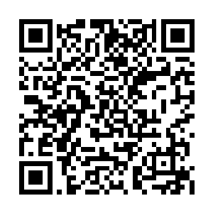 所以我以一块钱的价格把特奥杜洛的情报卖给您二维码生成