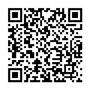 所以我以后就不打算早上起来给你做饭了的人对上号吗二维码生成