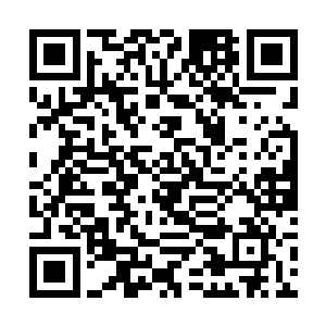 所以我们今天吃什么要看我朋友想给我们准备什么了二维码生成