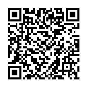 所以我将以前灭杀的吸血鬼尸体全都炼化成血精二维码生成