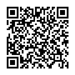 所以我就算知道你是胡莲祭司派来的人也没有为难你二维码生成