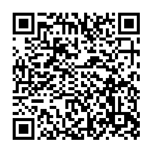 所以我希望你和你未来的团队多研究一些能够快速变现的东西出来二维码生成