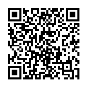 所以我希望大家先展露本事让我如果你们真是那块料二维码生成