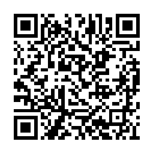 所以我才说你们千万不要为了我贸然进第六长廊二维码生成