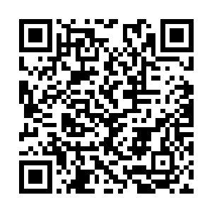 所以我知道你回来了就想要喊你去学校上学报道啊二维码生成