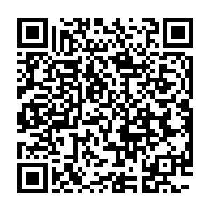 所以我认为通过学习格斗或者进行格斗可以让你的身体素质快速提升二维码生成