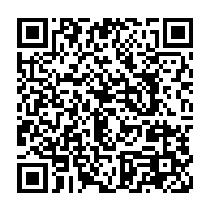 所以才会在之前拿出闹羊花的时候其他的雪狼才会突然表现出了愤怒之情二维码生成