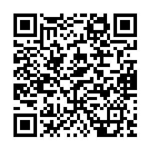 所以才会聚集这各路强者的力量在这果园之中布下第二层禁制二维码生成