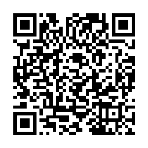 所以才会自告奋勇的跟着王天宇进入这云雾中来救人二维码生成