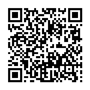 所以才没有给那个七十二洞和其他的势力反应机会二维码生成