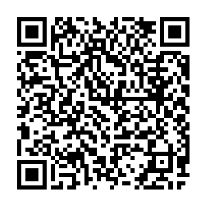 所以才给外面的人造成了我们圣灵一族对于血统和阶级都极为严苛的印象二维码生成