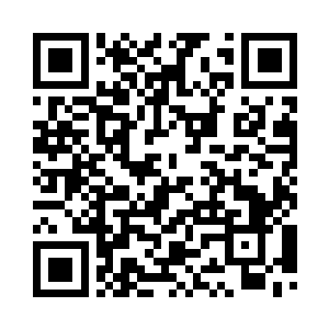 所以才造成了一片绿意盎然的假象二维码生成