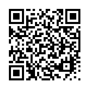 所以把杨洛送到家之后他就回了团部二维码生成