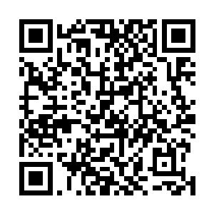 所以把盆景搬到门市部交给专业的花工负责是最好的选择二维码生成