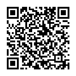 所以整个区的玩家非常默契的选择了先往海面发展二维码生成