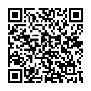 所以族长大人这些日子也有点不那么稳如泰山了二维码生成