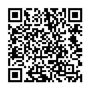 所以无法将那专门为严不问的克隆体设计的生物芯片二维码生成