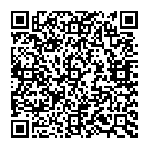 所以无论是在音响灯光设备甚至是服装上都要比之前学校所举办的任何一场文艺汇演要高水准得多二维码生成