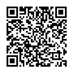 所以无论是外界还是楚旬都认为孔雀和断刃未必是胜算最高的二维码生成