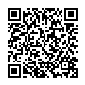 所以星痕几乎全身心的投入到了这种疯狂的屠杀当中二维码生成