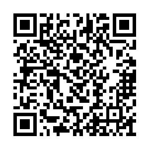 所以最多只能支持不适合修行的人修炼到分神期二维码生成
