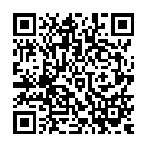 所以村里人都吆喝着要把老人孝都组织起来一起到镇政府住下二维码生成