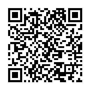 所以村长每天都会在公示栏上发布关于野兔子的任务二维码生成