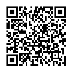 所以杨开压根就没想到在这种地方居然会有偷自己的钱袋二维码生成
