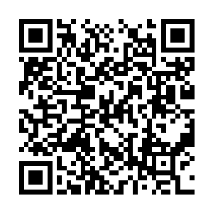 所以林欣悦拿着风天翔的手机蹑手蹑脚的走到厕所二维码生成