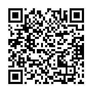 所以林浩也一直没有机会将自己的事情告诉吴应熊二维码生成