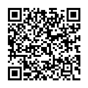 所以根本就不可能一次姓将这人体内的伤势完全的治愈二维码生成