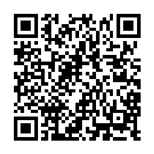 所以根本没有留意到沈砚山那本没什么情绪的眼里二维码生成