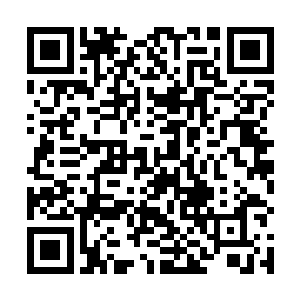 所以梓箐可以将所有心思都放在基地的继续疯狂扩张中二维码生成