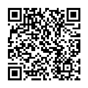 所以梓箐很快就检查出面前这具腐烂的尸体的病因二维码生成