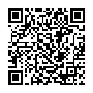 所以楚之云和唐卡这些学生们也必须加入搜索的行列二维码生成