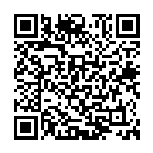 所以此刻看到骨皇那恍若变了一个人一样的神态二维码生成