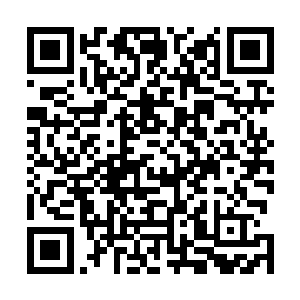 所以此刻鸿鹄也顺势拿出了自己口袋里的那个手电并开启二维码生成