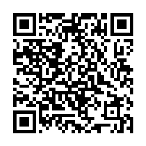 所以每个人只能背着自己能拿得动的海蓝铁矿石回去二维码生成