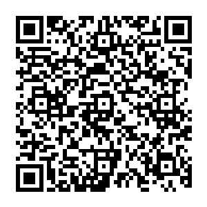 所以每天一早就能看见一大群换了梦幻海岛t恤的大美女从楼上的公寓下来办公室上课开会二维码生成