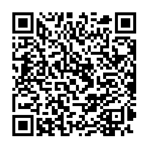 所以没一顿饭的功夫院子的也就大概知道了飞龙部落现在是个什么样二维码生成