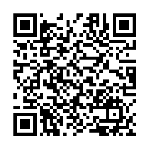 所以没到一个时辰叶楚就将它们全部给吸进了阴阳墟洞二维码生成