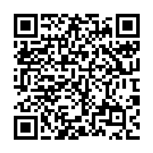 所以洪剑提前给老婆置办从家庭主妇向职场女性过渡的工具二维码生成