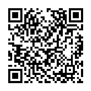 所以洪大力等人还是选择了回圣贺堡大酒店先住着二维码生成