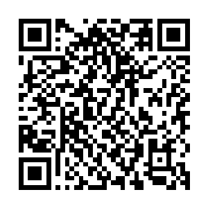 所以父母终究还是不放心她一路跟随着荣耀至死在美国四处奔波二维码生成