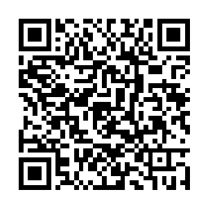 所以现在星王生死都掌控在了那个巨臂怪物的手中二维码生成