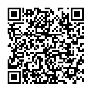所以现在能够好好看看她们他就想把所有时间都用来欣赏她们享受她们二维码生成