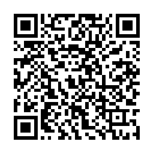 所以现在这个时候王建国也是感觉有那么一些苦闷二维码生成