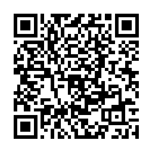所以百晓生不知道该选他还是选原地榜第十的那人二维码生成