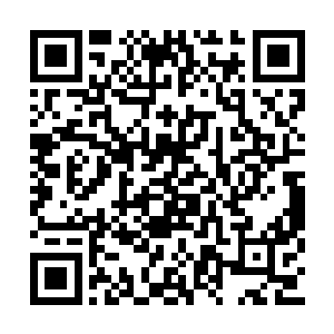 所以的疑点或许会随着这种植物的出现而改变的二维码生成