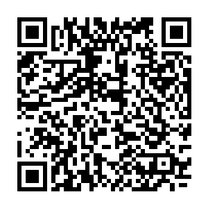 所以直到此刻安琪儿和十二都没有认出楚旬就是当初那个差点挂掉的干瘦小孩二维码生成